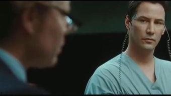 寄身视频,揭秘虚拟现实世界的奇妙之旅