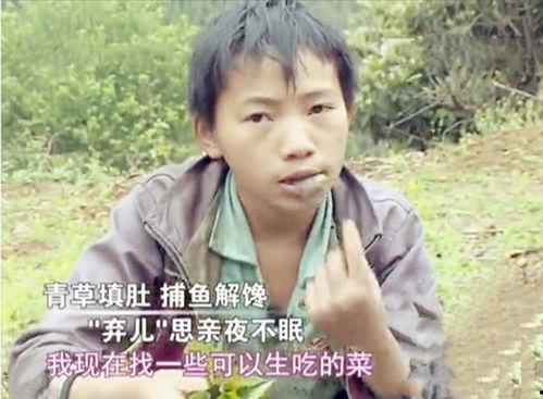 杨六斤的视频,揭秘短视频背后的励志人生