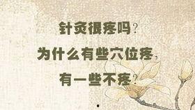 照海针灸视频,揭秘传统中医养生之道