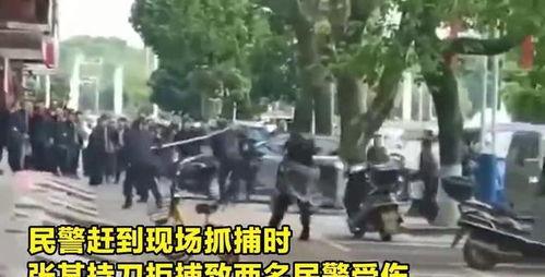 公安抓捕现场视频,公安雷霆出击,抓捕行动一网打尽