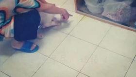 妈妈打屁股相关视频,妈妈打屁股的教育意义与反思